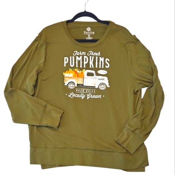 EUC LIKE NEW Womens' Plus Pumpkin Sweatshirt Sz.XXL (20) - Picture 1 of 8